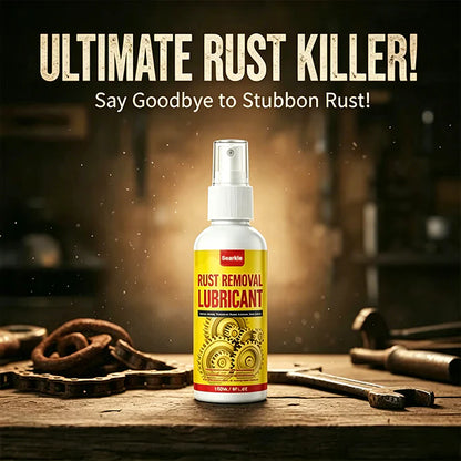 Anti-Rust Lubricant Spray & Rust Remover